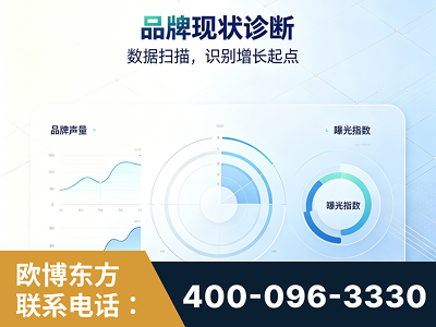 桦甸-品牌现状诊断